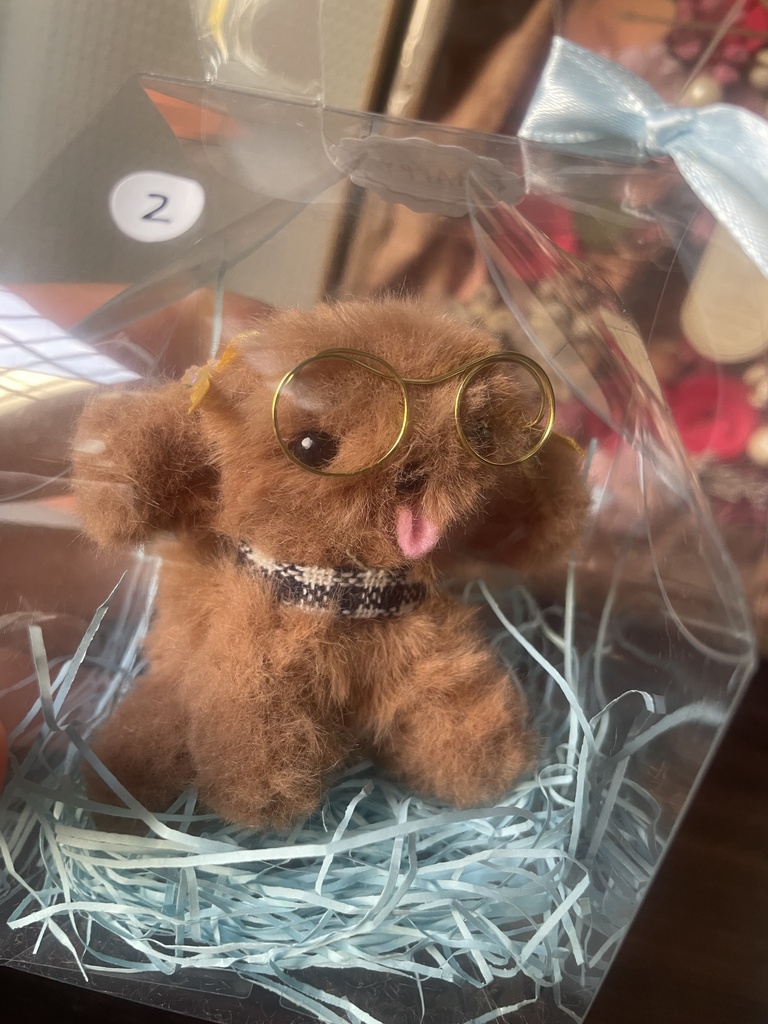 【限定5】ゆうみトイプードール