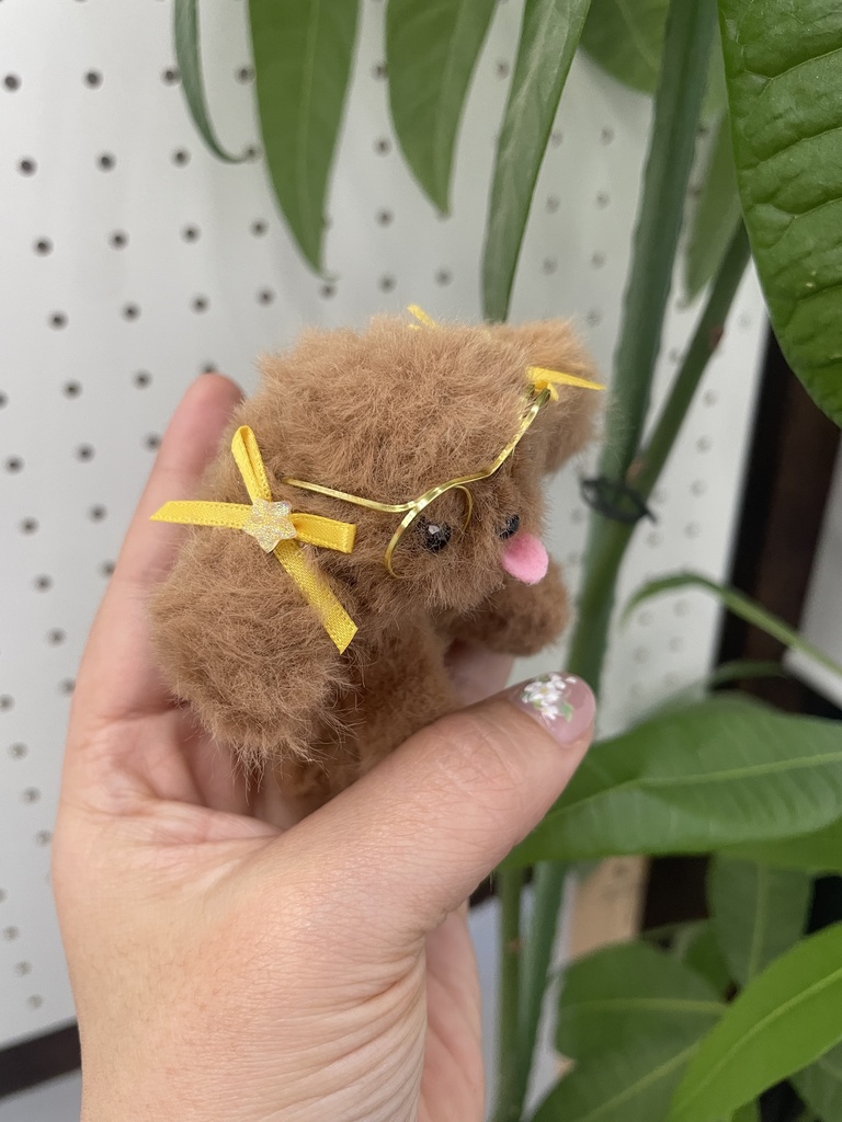 【限定5】ゆうみトイプードール