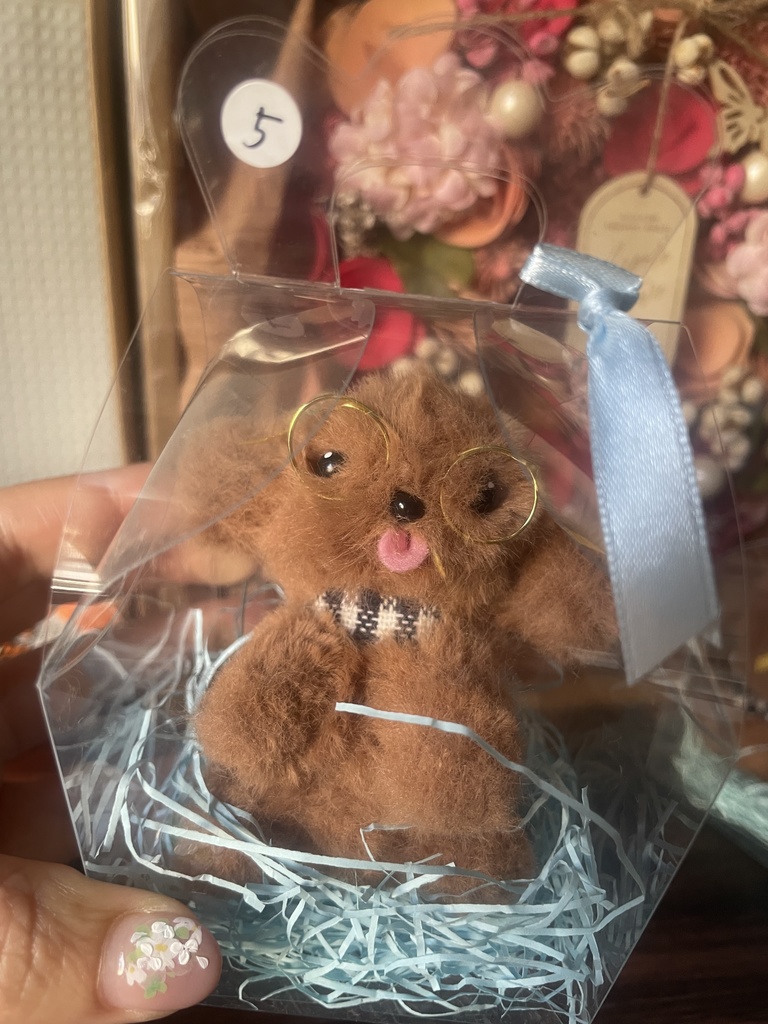 【限定5】ゆうみトイプードール