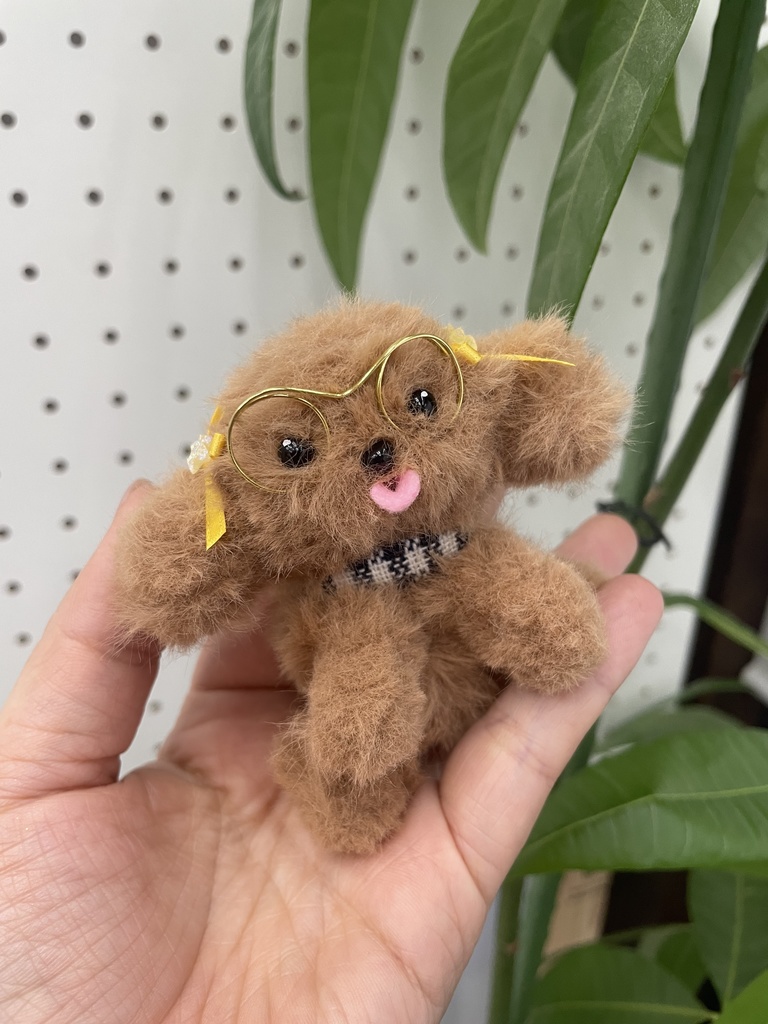 【限定5】ゆうみトイプードール