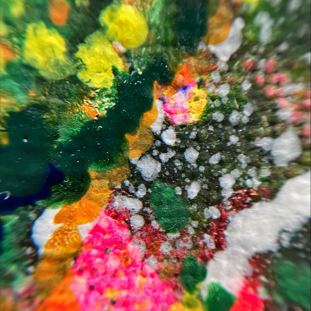 点描16-正月の花