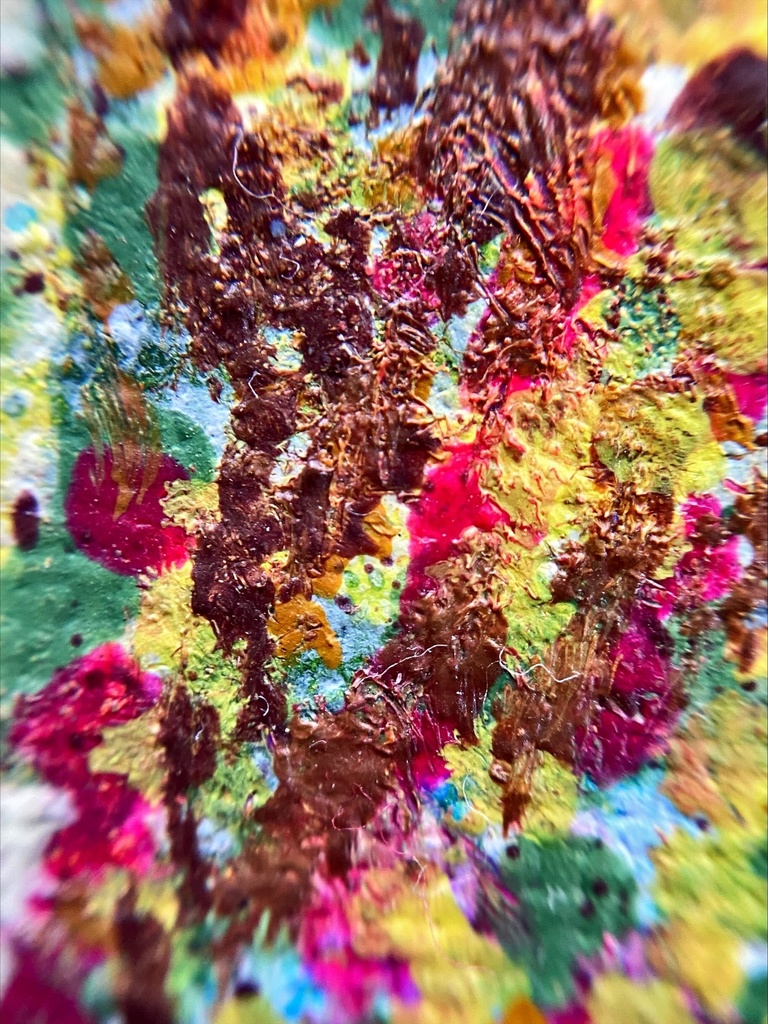 適度な距離感の猫たち