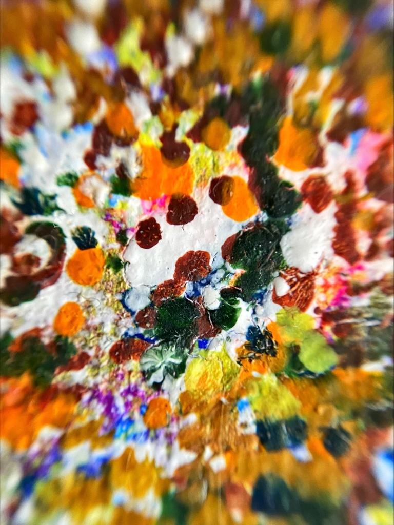 クッションで丸まる二匹の猫