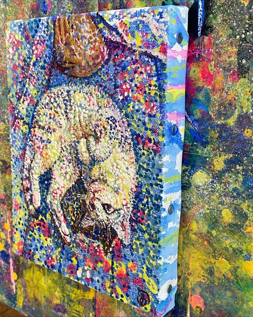 ソファの上でゴロンとする猫