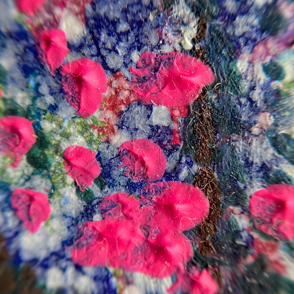 2月の街に咲く桜