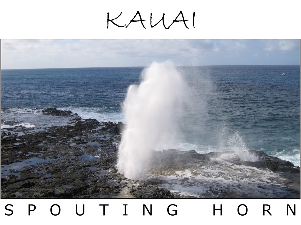 ハワイ・カウアイ島「SPOUTING HORN」:フォトT