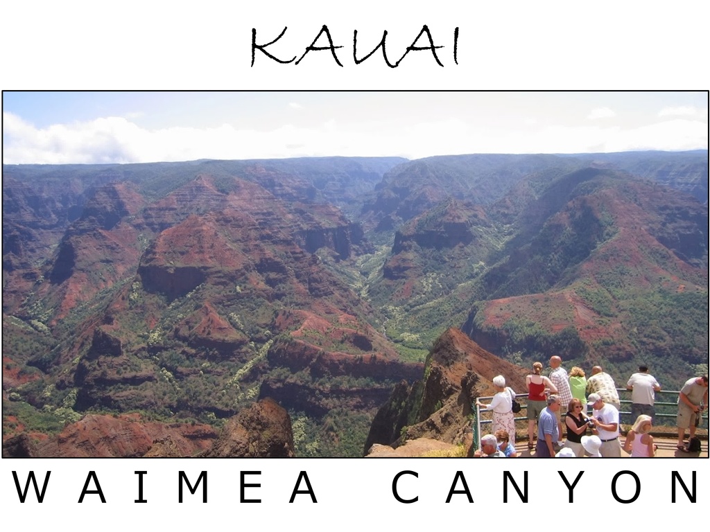 ハワイ・カウアイ島「WAIMEA CANYON」:フォトT