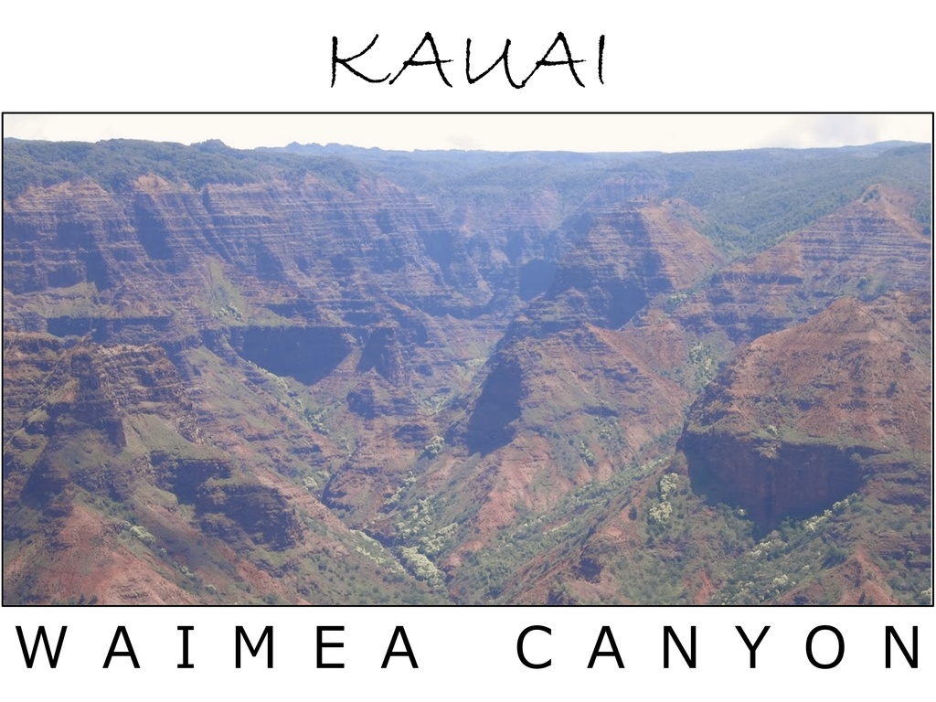 ハワイ・カウアイ島「WAIMEA CANYON 2」:フォトT(レディース)