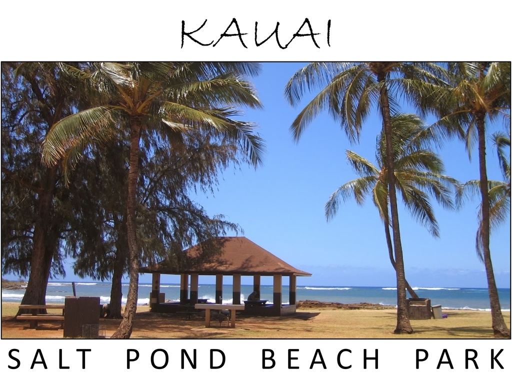 ハワイ・カウアイ島「SALT POND BEACH PARK」:フォトT