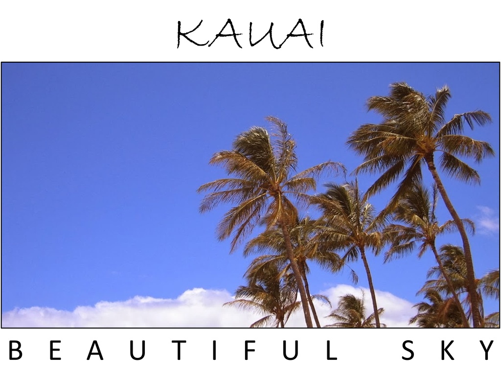 ハワイ・カウアイ島「BEAUTIFUL SKY」:フォトT(レディース)