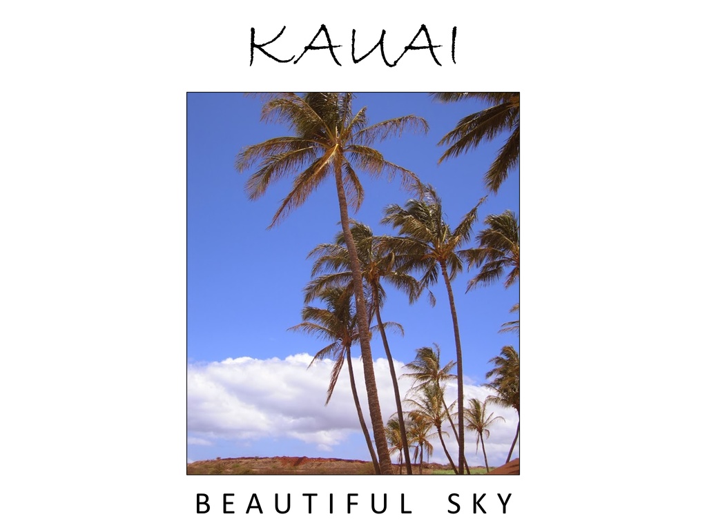 ハワイ・カウアイ島「BEAUTIFUL SKY 2」:フォトT(レディース)
