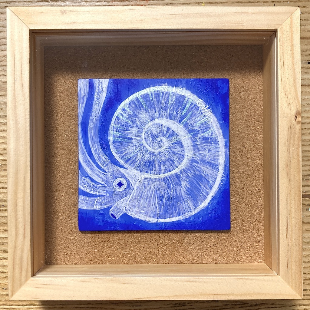 『毎日アンモナイト』-06