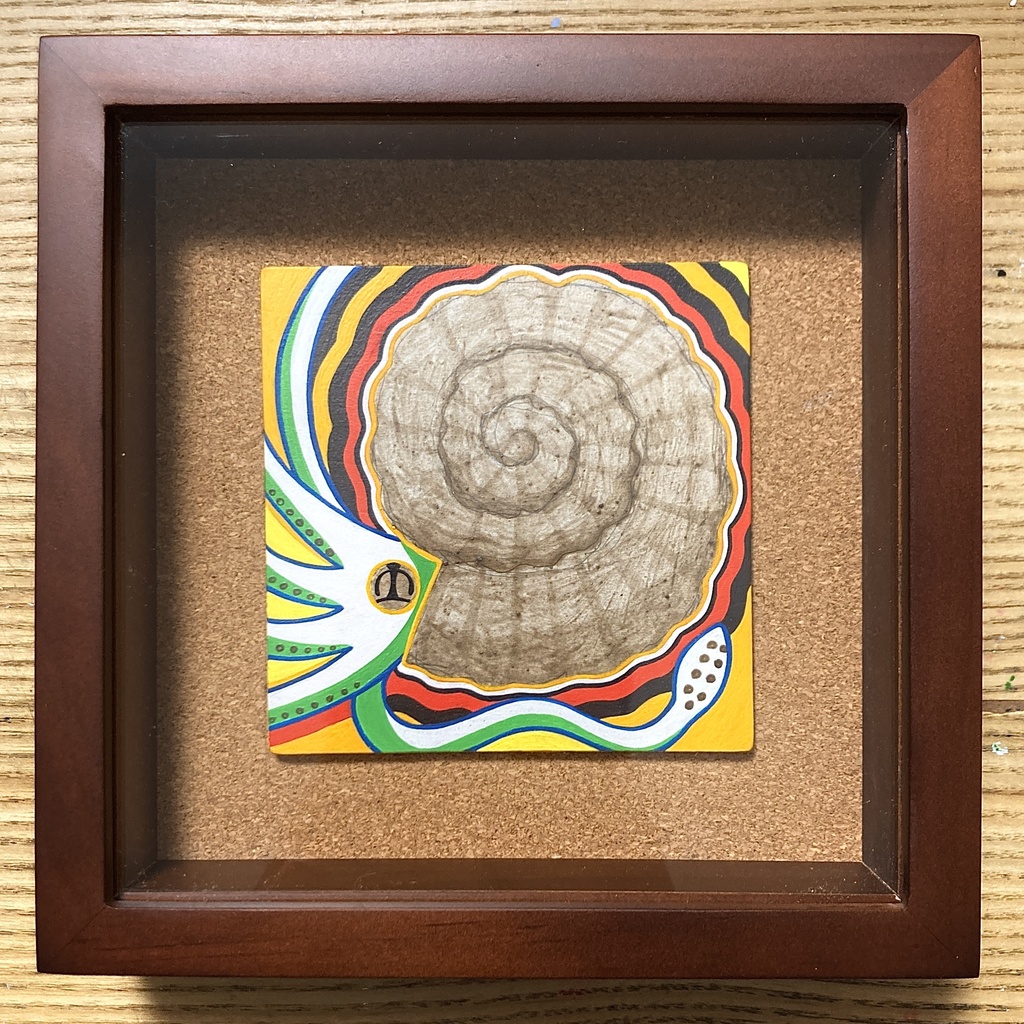 『毎日アンモナイト』-12