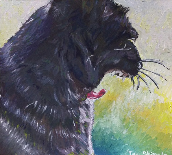 【原画】光を浴びて【猫】