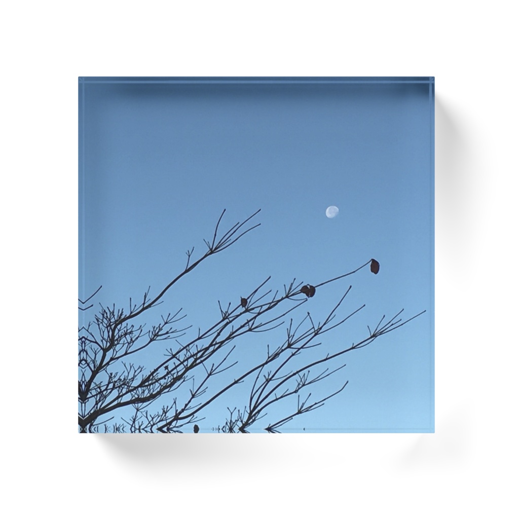 今朝の月 2020 師走