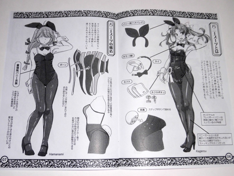 バニー鎮守府ぷろじぇくとVOL8 -舞鶴2-