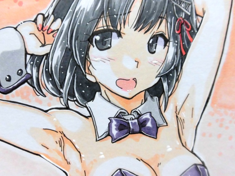 色紙 羽黒バニー(24枚目)