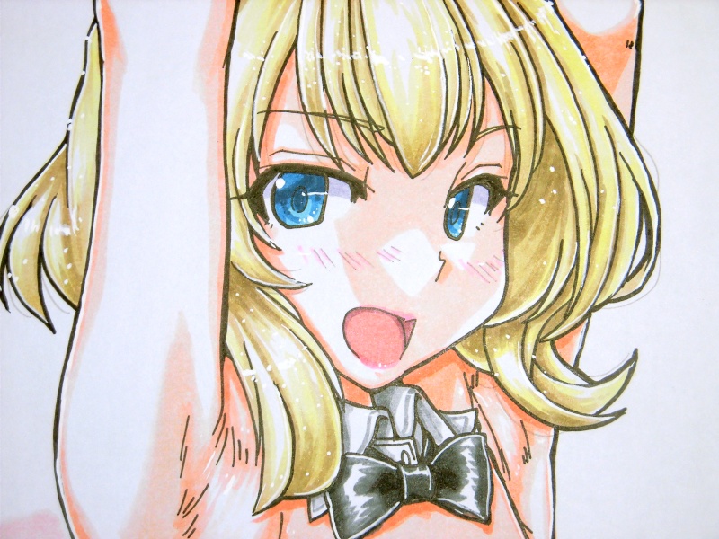 2つ折り色紙 コロラド(15)