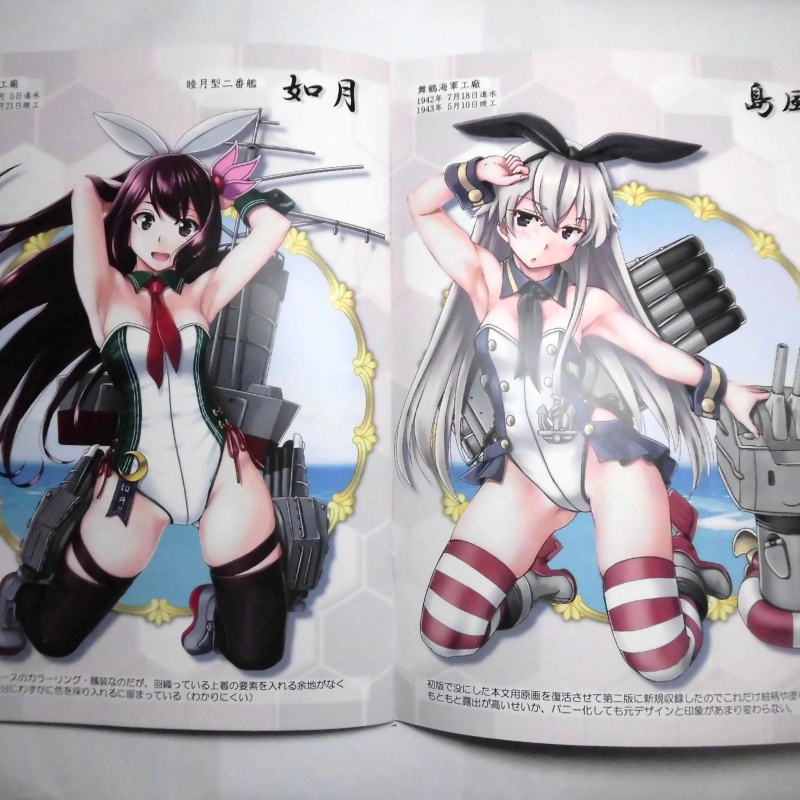 バニー鎮守府ぷろじぇくとVOL2-舞鶴Ⅰ-第二版