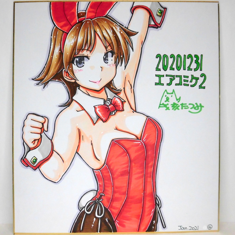 色紙 比叡バニーAC2(4)