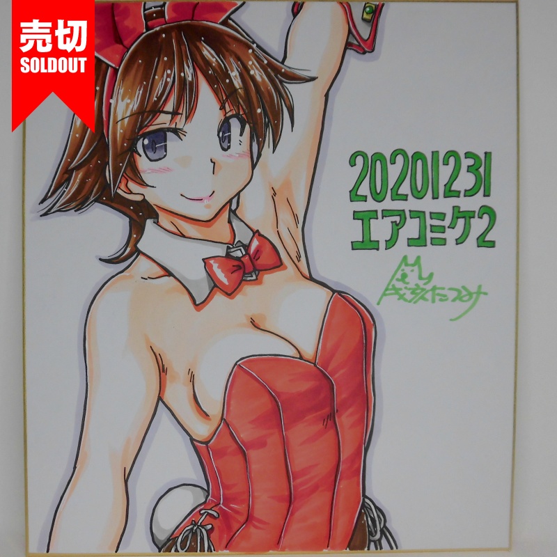 色紙 比叡バニーAC2(4)