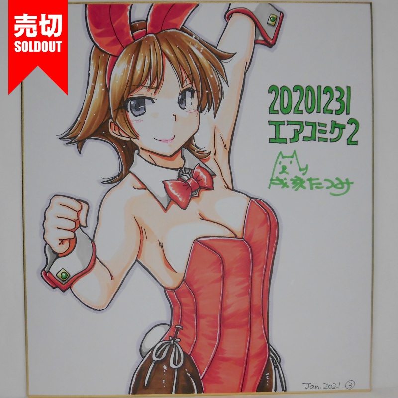 色紙 比叡バニーAC2(4)