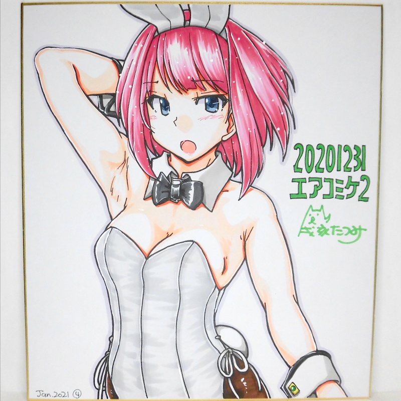 色紙 アークロイヤルバニーAC2(4)