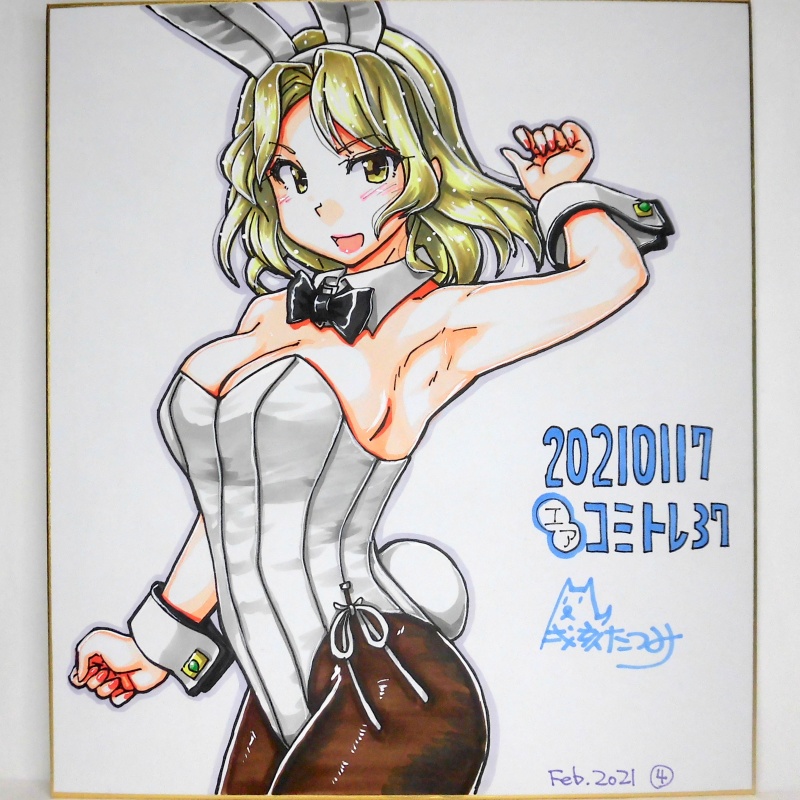 色紙 ヒューストンバニーCT37(4)