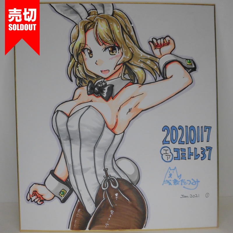 色紙 ヒューストンバニーCT37(4)