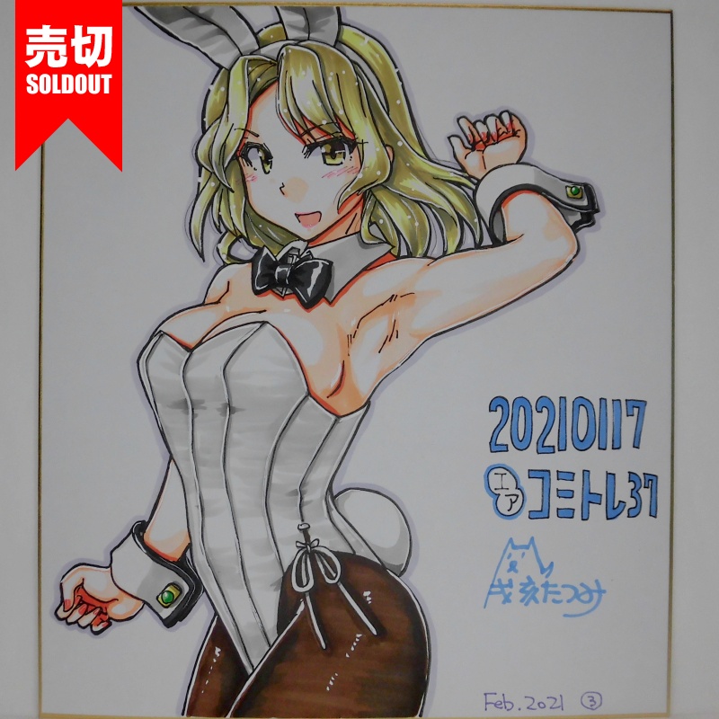 色紙 ヒューストンバニーCT37(4)