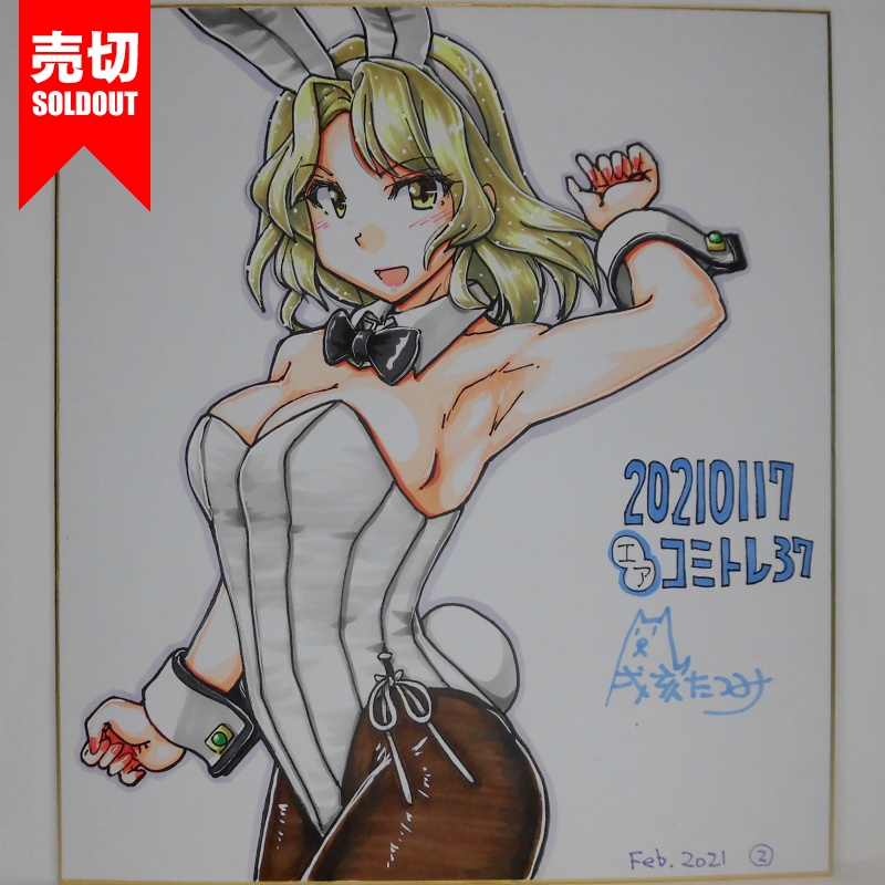 色紙 ヒューストンバニーCT37(4)