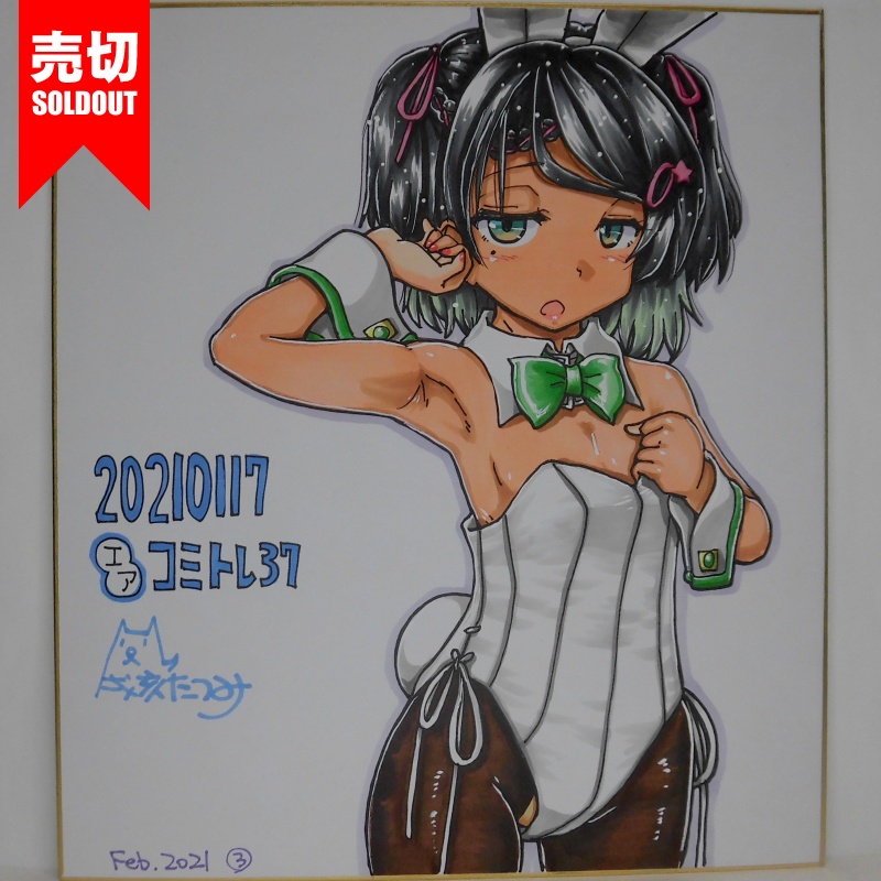 色紙 シロッコバニーCT37(4)