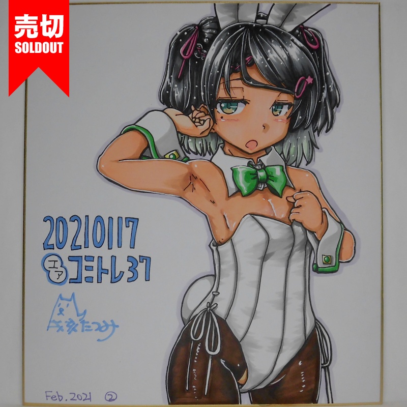 色紙 シロッコバニーCT37(4)