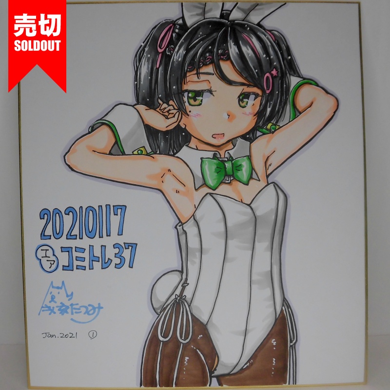 色紙 シロッコバニーCT37(4)