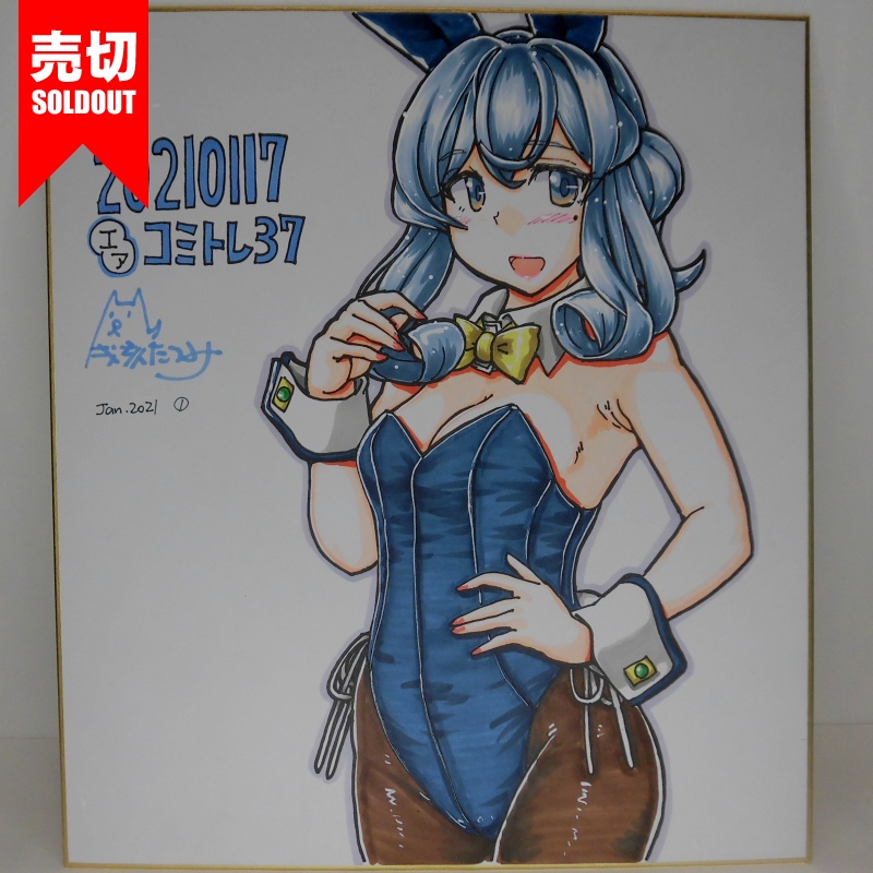 色紙 ゴトランドバニーCT37(11)