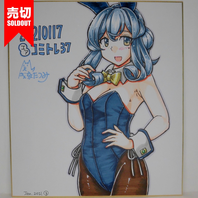 色紙 ゴトランドバニーCT37(11)