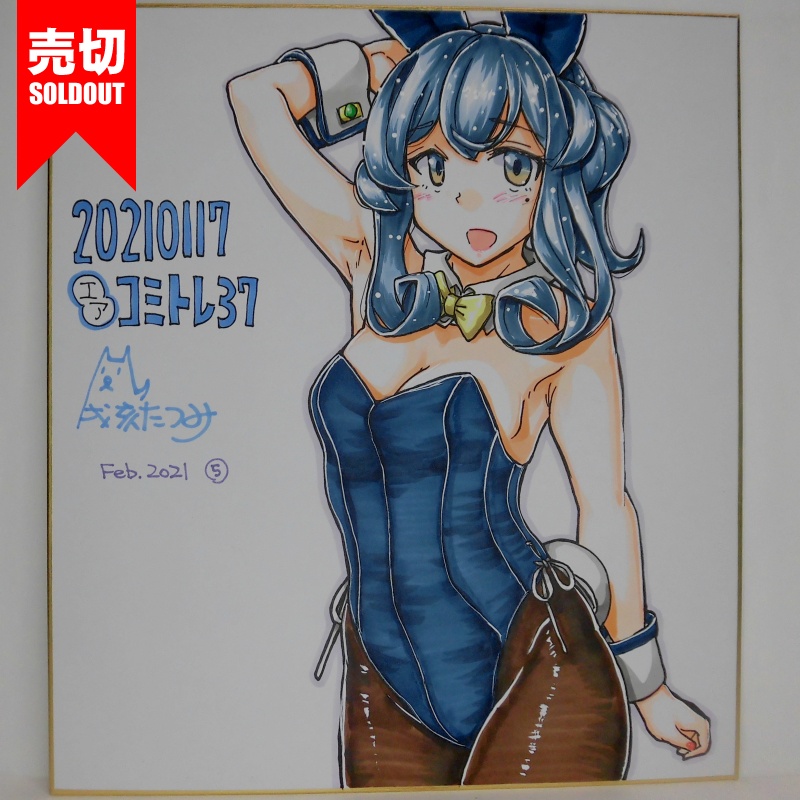 色紙 ゴトランドバニーCT37(11)