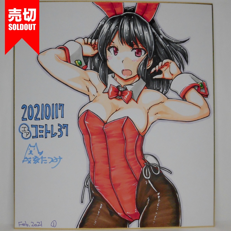 色紙 山城バニーCT37(6)