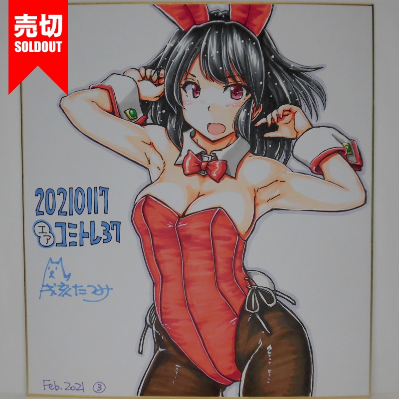 色紙 山城バニーCT37(6)