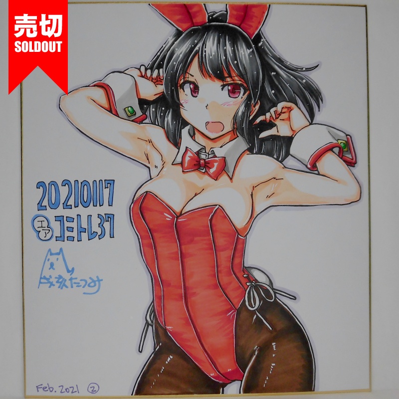 色紙 山城バニーCT37(6)