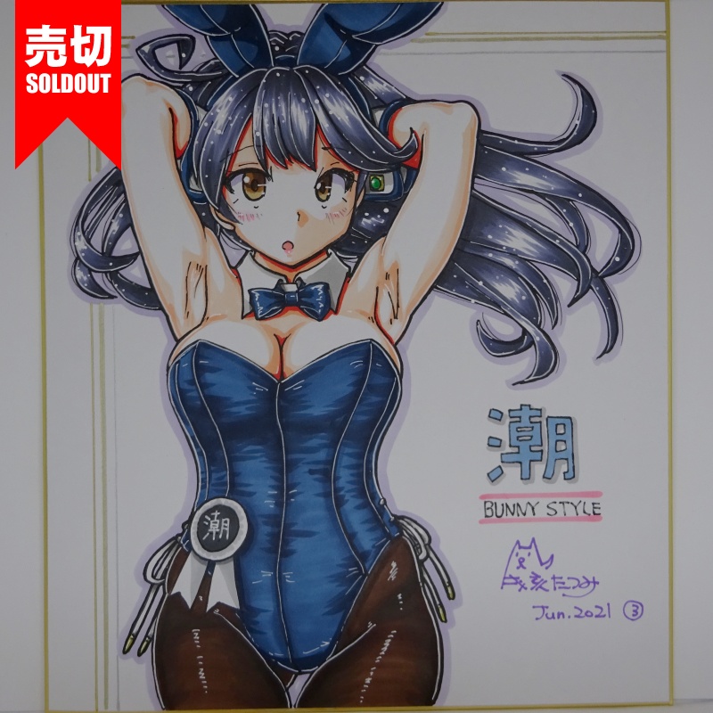 色紙 潮バニー AC3(12)