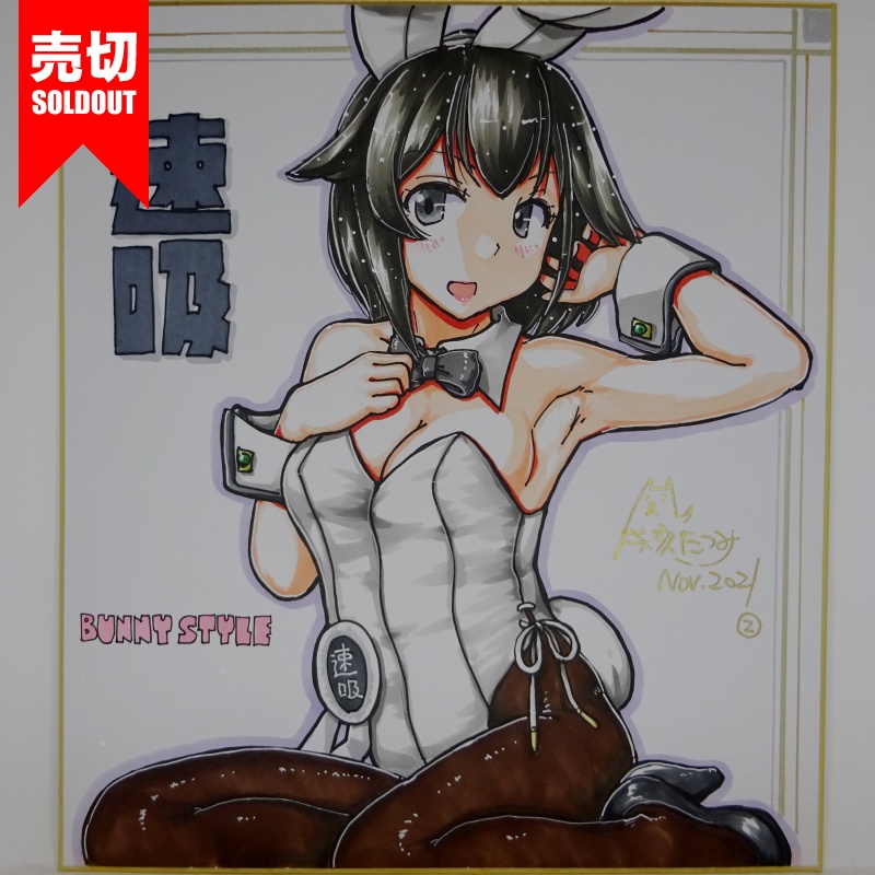 色紙 速吸バニー AG21(2) /6
