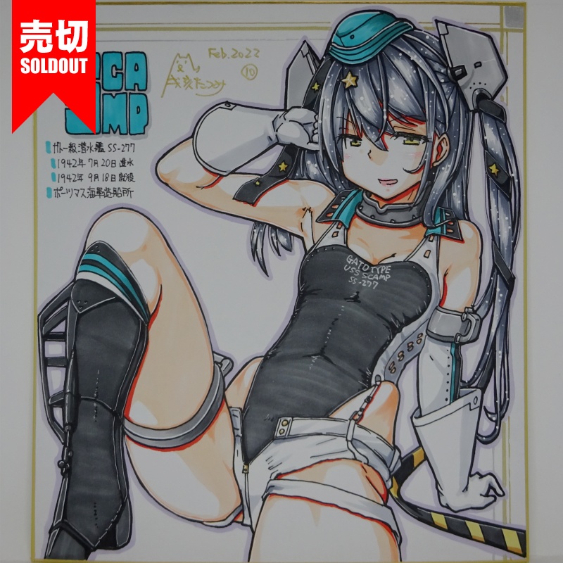 色紙 スキャンプ FB22(15)