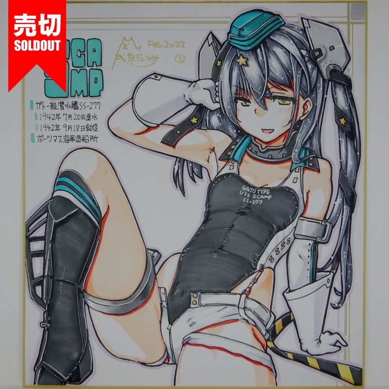 色紙 スキャンプ FB22(15)