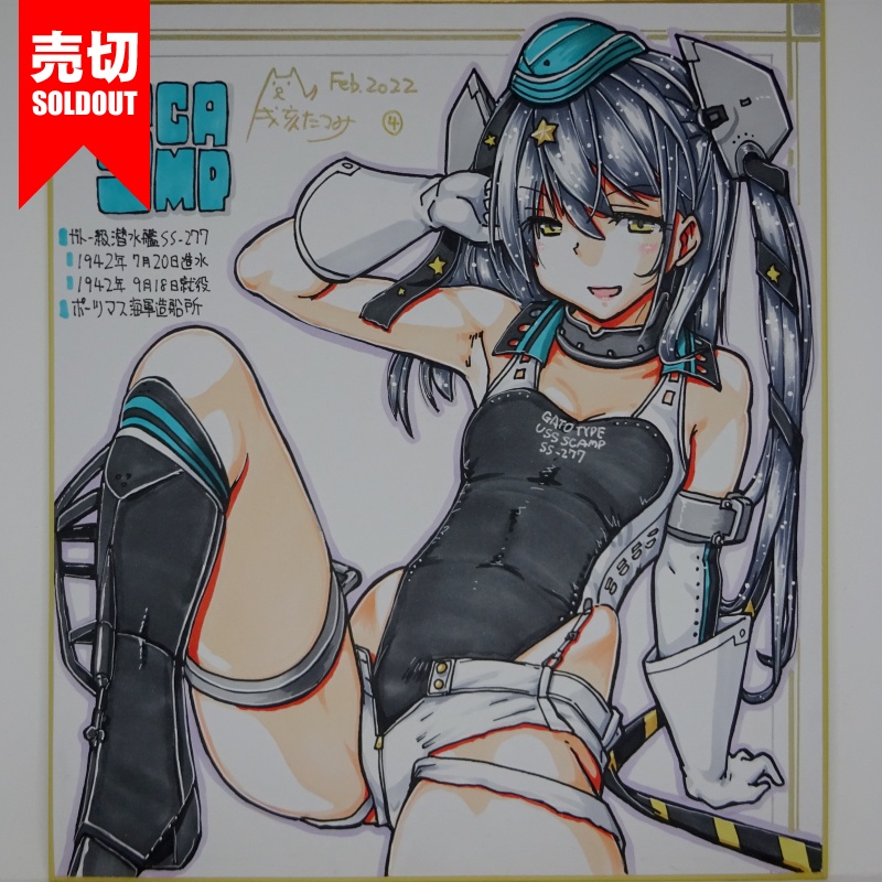 色紙 スキャンプ FB22(15)