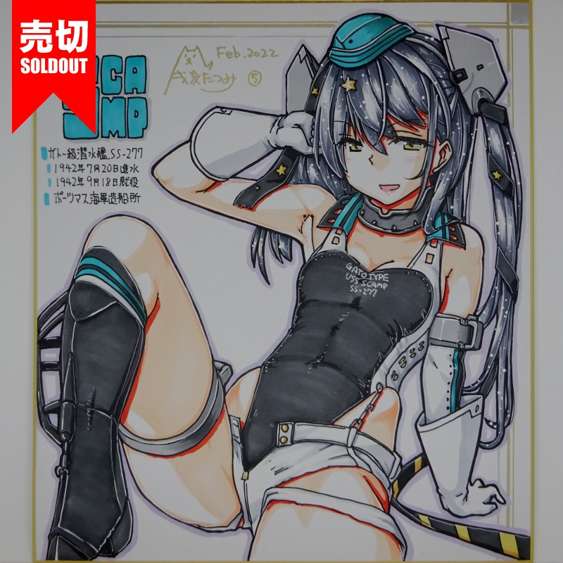 色紙 スキャンプ FB22(15)