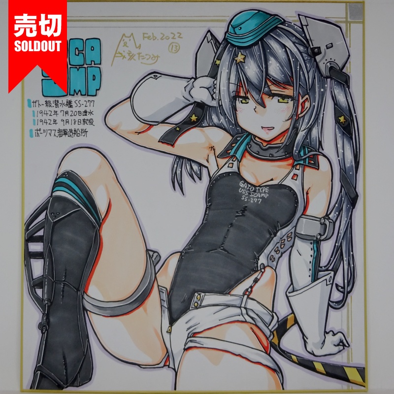 色紙 スキャンプ FB22(15)