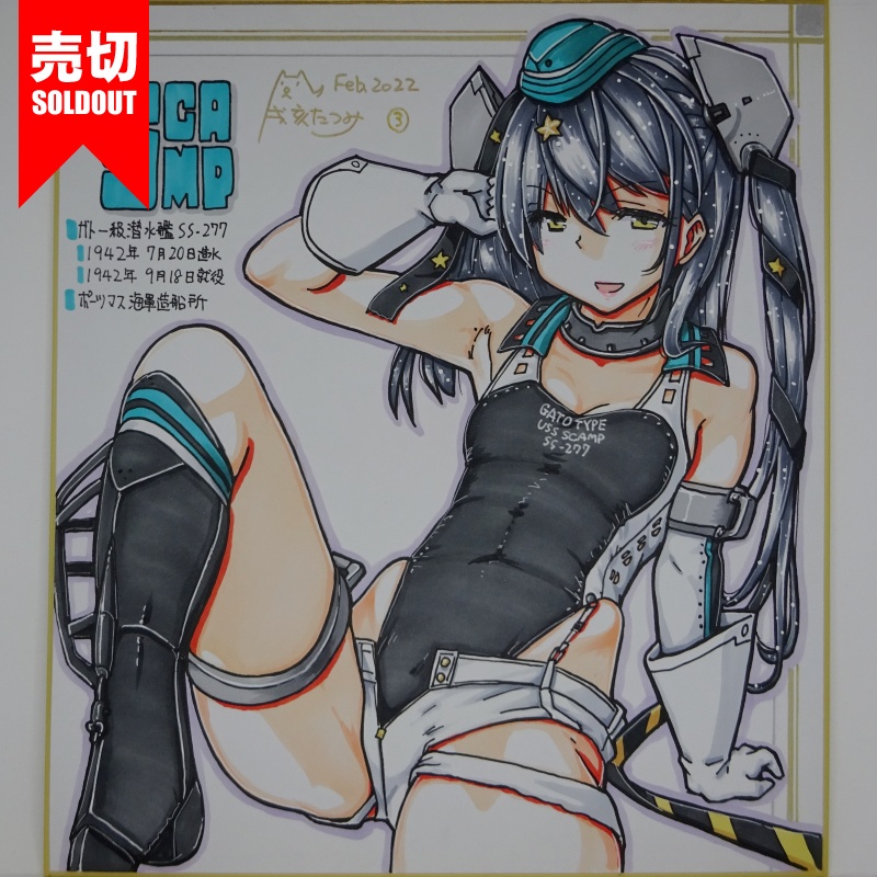 色紙 スキャンプ FB22(15)