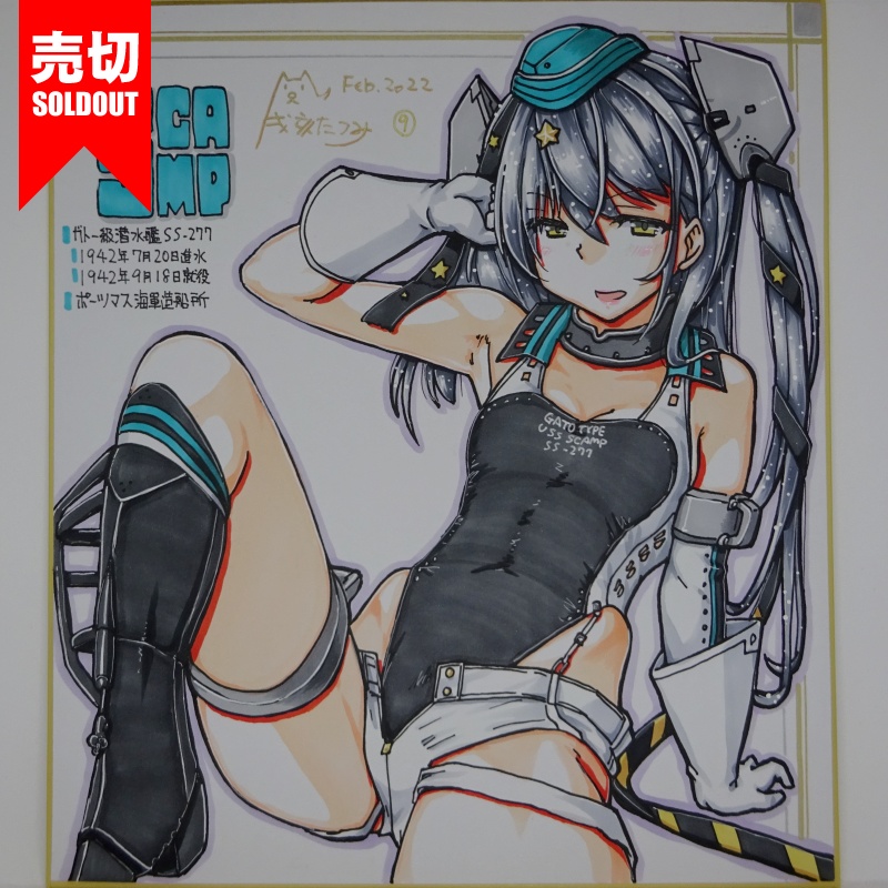 色紙 スキャンプ FB22(15)