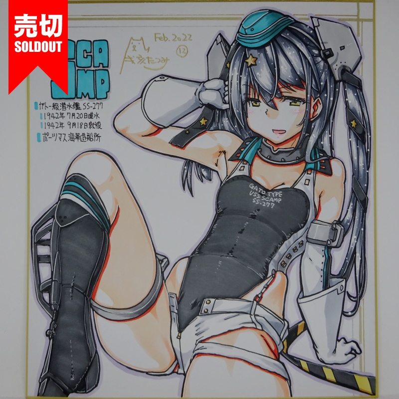 色紙 スキャンプ FB22(15)